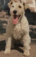 Мило