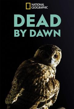 Nat Geo Wild: Дожить до рассвета