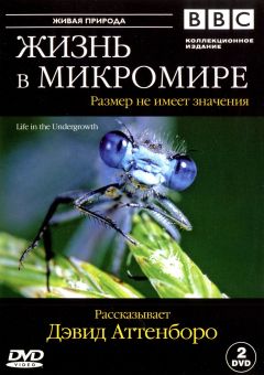 Сериал BBC: Жизнь в микромире (2005)