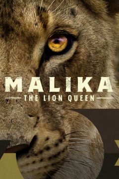 Малика, королева львов