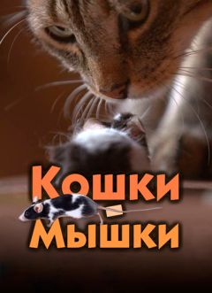 Игра в кошки-мышки