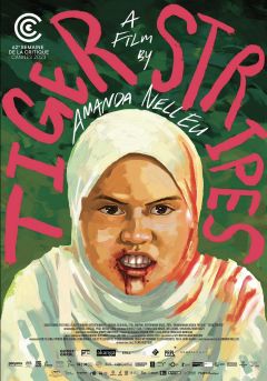 Фильм Тигриные полосы (2023)
