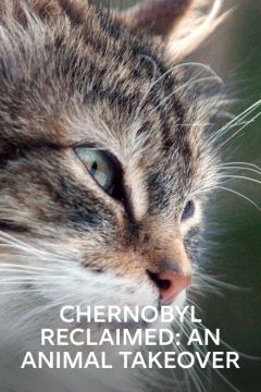 Чернобыль, жизнь в смертельной зоне